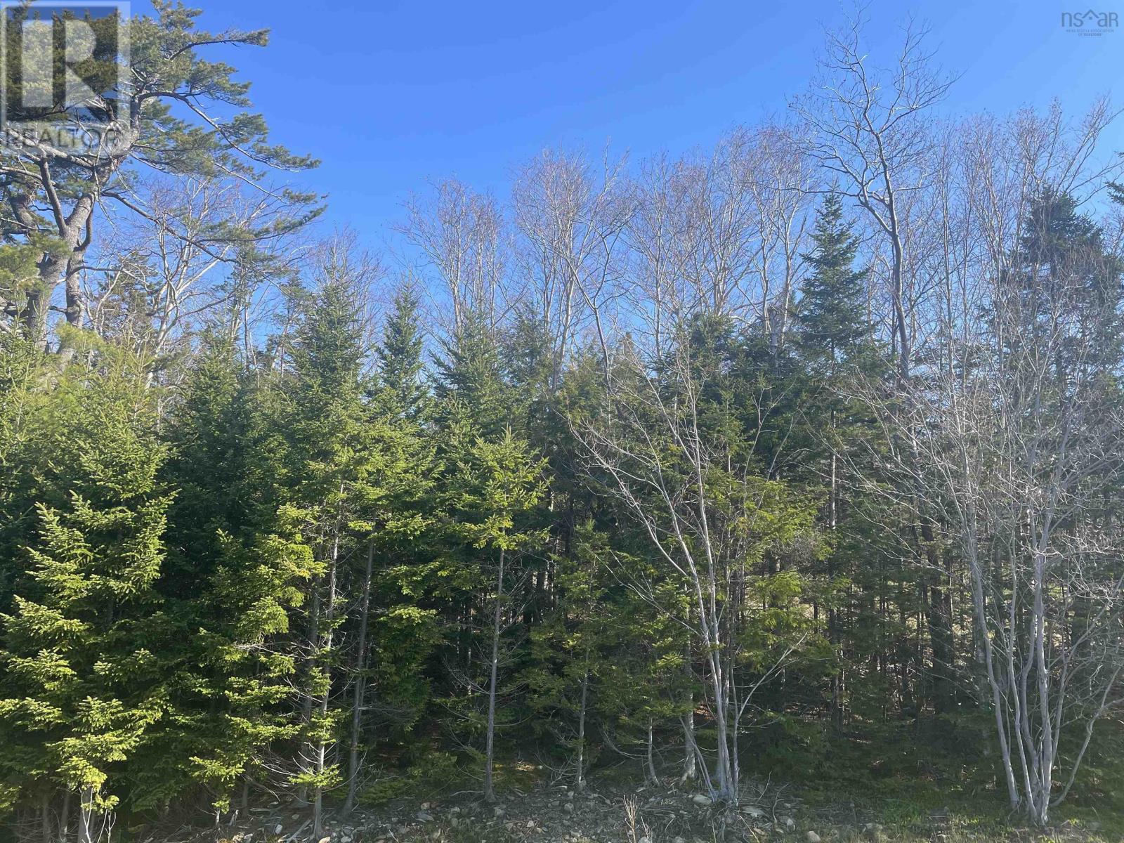 Property at Lot R1 AB Old Mill Road image