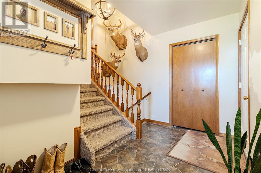 Property at 44 Hodgins STREET image 5
