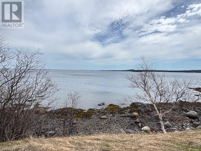 159 Main Street, Embree, Newfoundland & Labrador  A0G 2A0 - Photo 2 - 1284817