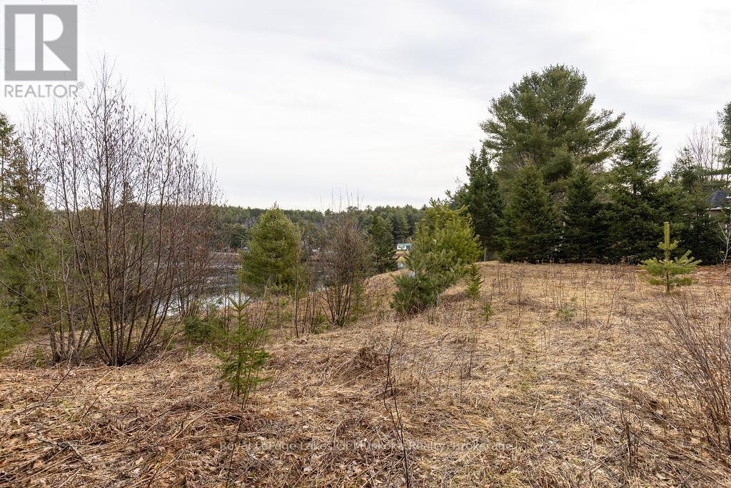 18 Shellwood Shores Avenue, Huntsville, Ontario  P1H 2M4 - Photo 21 - X12136285