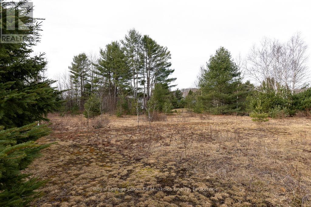 18 Shellwood Shores Avenue, Huntsville, Ontario  P1H 2M4 - Photo 24 - X12136285