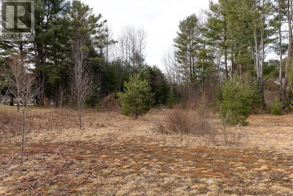 18 Shellwood Shores Avenue, Huntsville, Ontario  P1H 2M4 - Photo 25 - X12136285