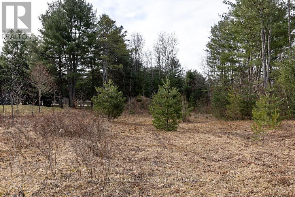 18 Shellwood Shores Avenue, Huntsville, Ontario  P1H 2M4 - Photo 26 - X12136285
