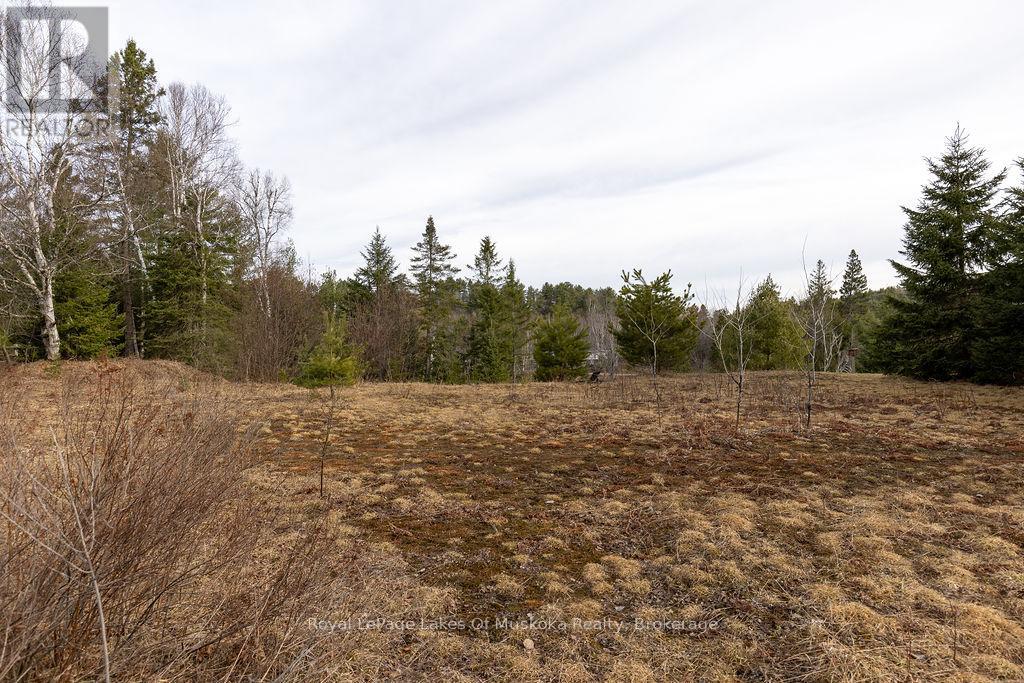 18 Shellwood Shores Avenue, Huntsville, Ontario  P1H 2M4 - Photo 27 - X12136285