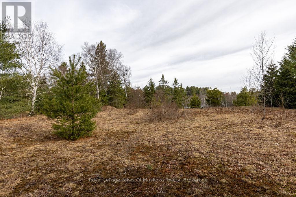 18 Shellwood Shores Avenue, Huntsville, Ontario  P1H 2M4 - Photo 28 - X12136285