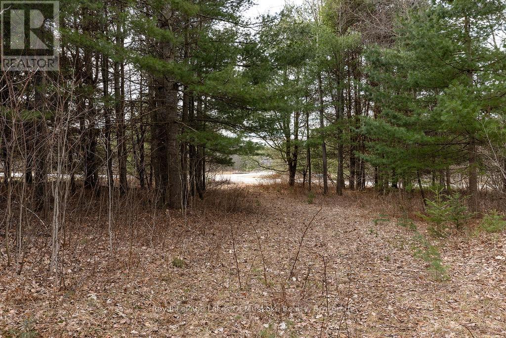 18 Shellwood Shores Avenue, Huntsville, Ontario  P1H 2M4 - Photo 29 - X12136285