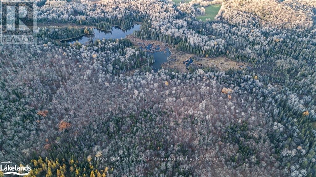 Lot 3 Hill And Gully Road, Ryerson, Ontario  P0A 1C0 - Photo 8 - X12136299