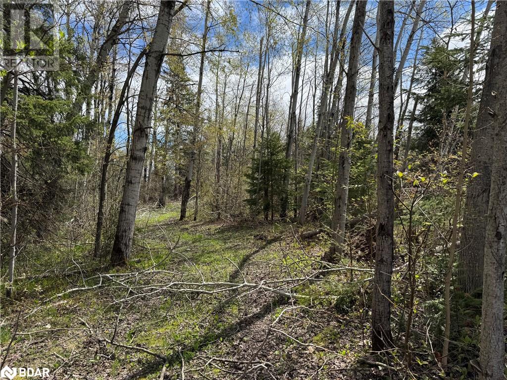 829 Prospect Street, Woodville, Ontario  K0M 2T0 - Photo 2 - 40726747