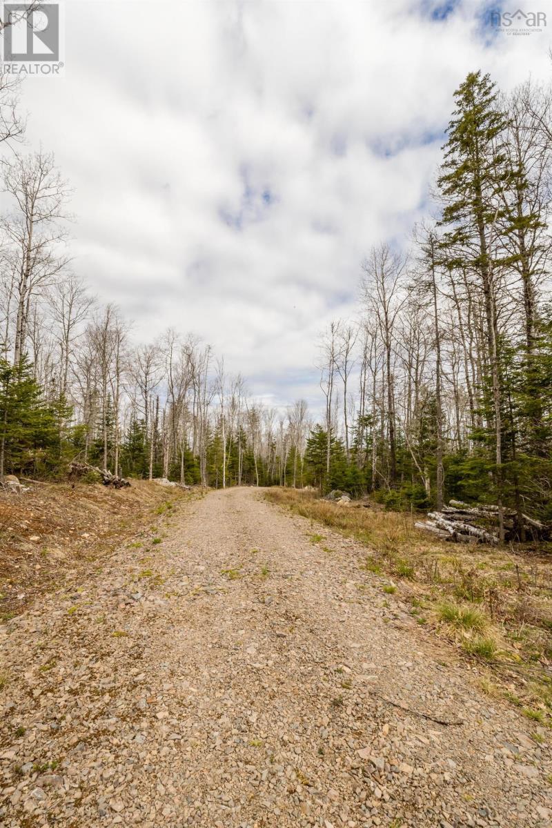 Lot 2021 Butler Road, Murphy Lake, Nova Scotia  B4N 3V8 - Photo 14 - 202510405