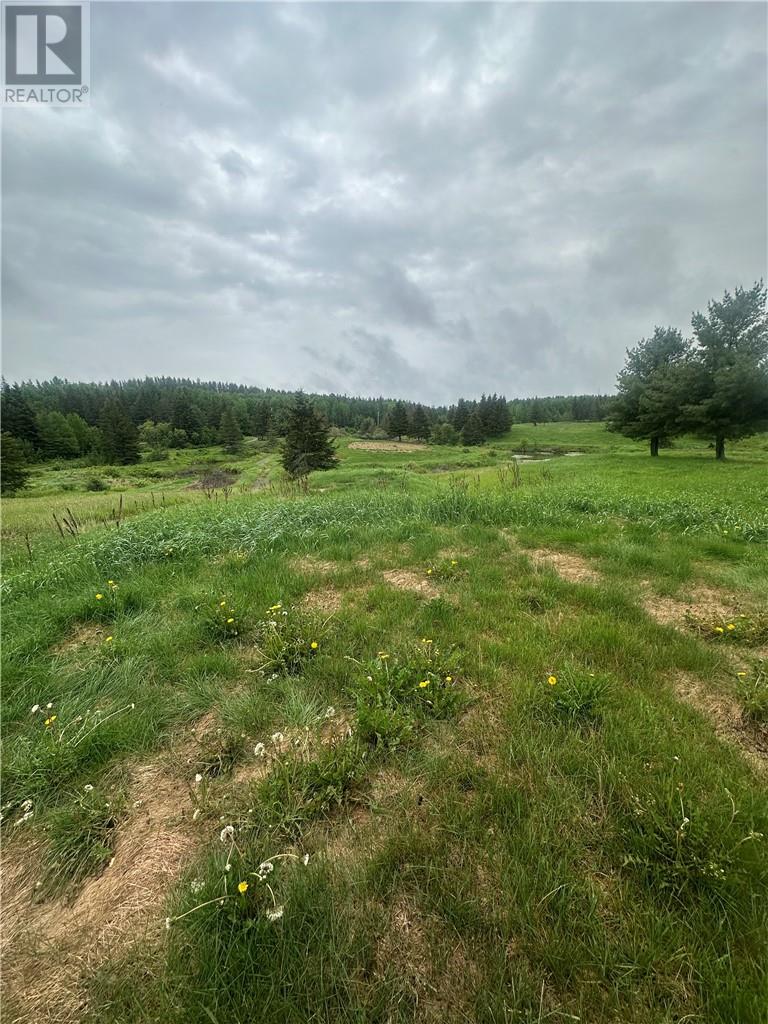 257 Ratter Lake Road, Markstay-Warren, Ontario  P0M 2G0 - Photo 4 - 2122039