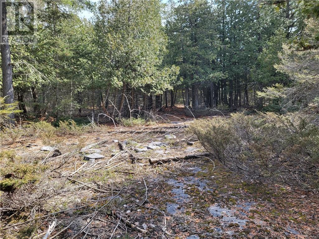 Con 3 Lot 5, Gore Bay, Ontario  P0P 1H0 - Photo 3 - 2122098