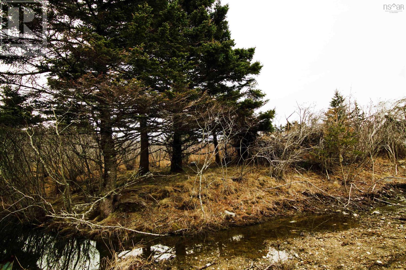 Lot 17 Quaco Road, Port Maitland, Nova Scotia  B5A 5X5 - Photo 2 - 202507131