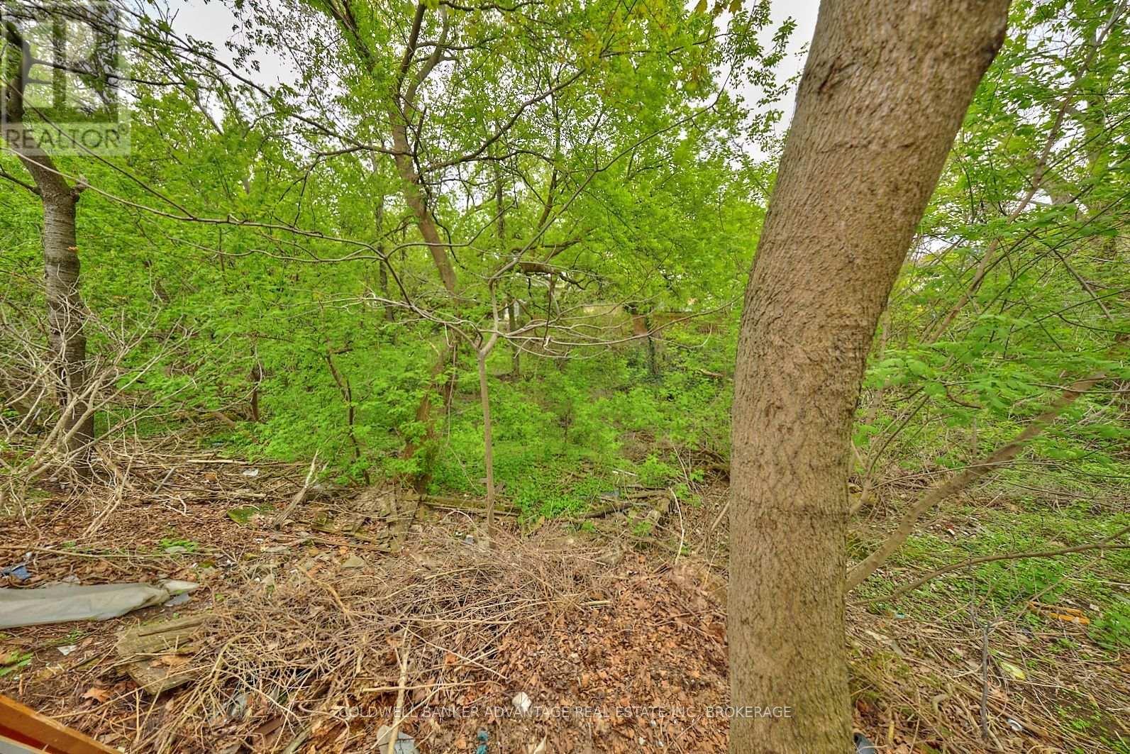 40 Kimbermount Drive, St. Catharines (Lakeshore), Ontario  L2N 5V6 - Photo 8 - X12136712