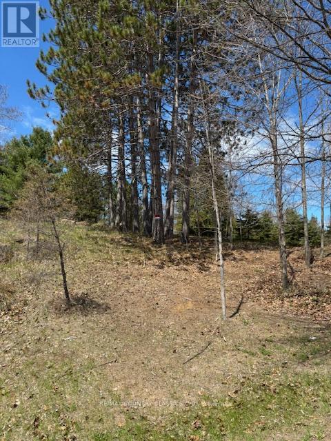 26686 HIGHWAY 62 S, Bancroft, Ontario