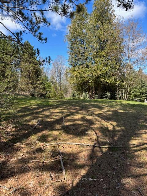 26686 Highway 62 S, Bancroft, Ontario  K0L 1C0 - Photo 11 - X12136726