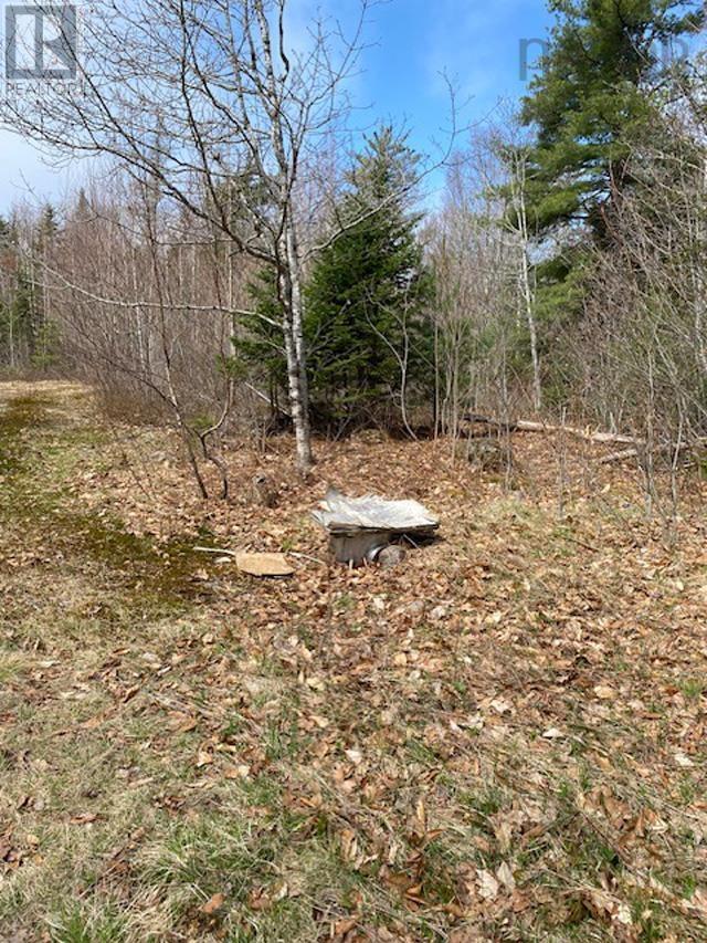 1539 Old Liverpool Road, The Halfway, Nova Scotia  B0R 1H0 - Photo 5 - 202510343