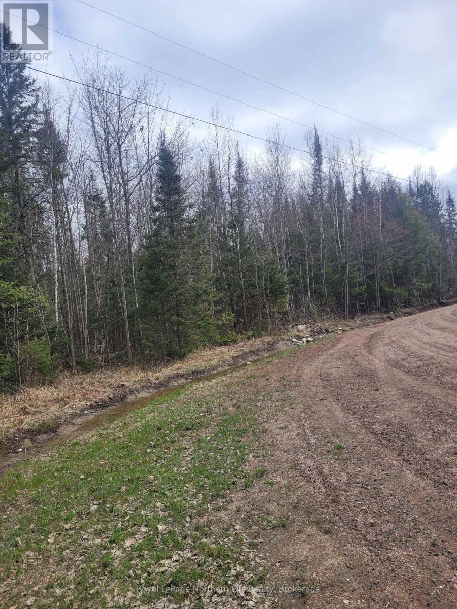 Lot 21 Con 13 Pt 1, Papineau-Cameron (Papineau Cameron), Ontario  P0H 1V0 - Photo 4 - X12136770