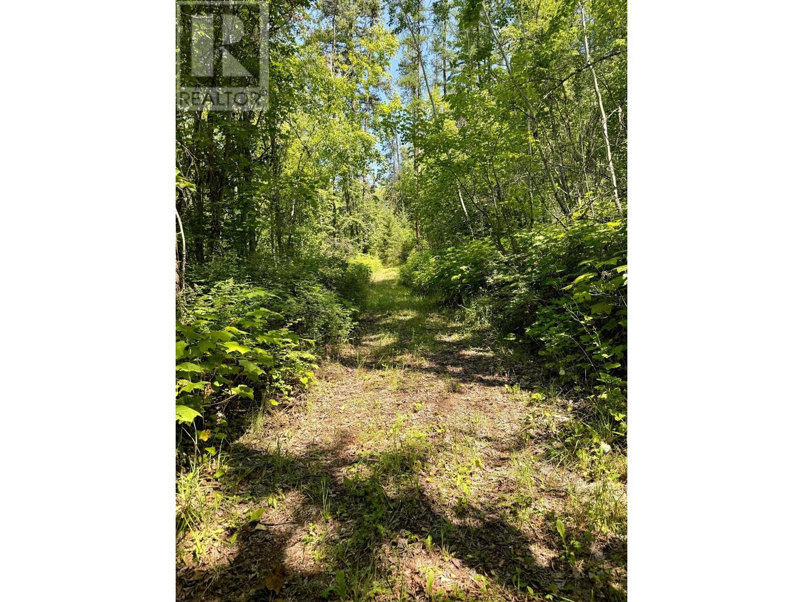 395 Boven Road, Nelson, British Columbia  V1L 6J1 - Photo 49 - 10347110