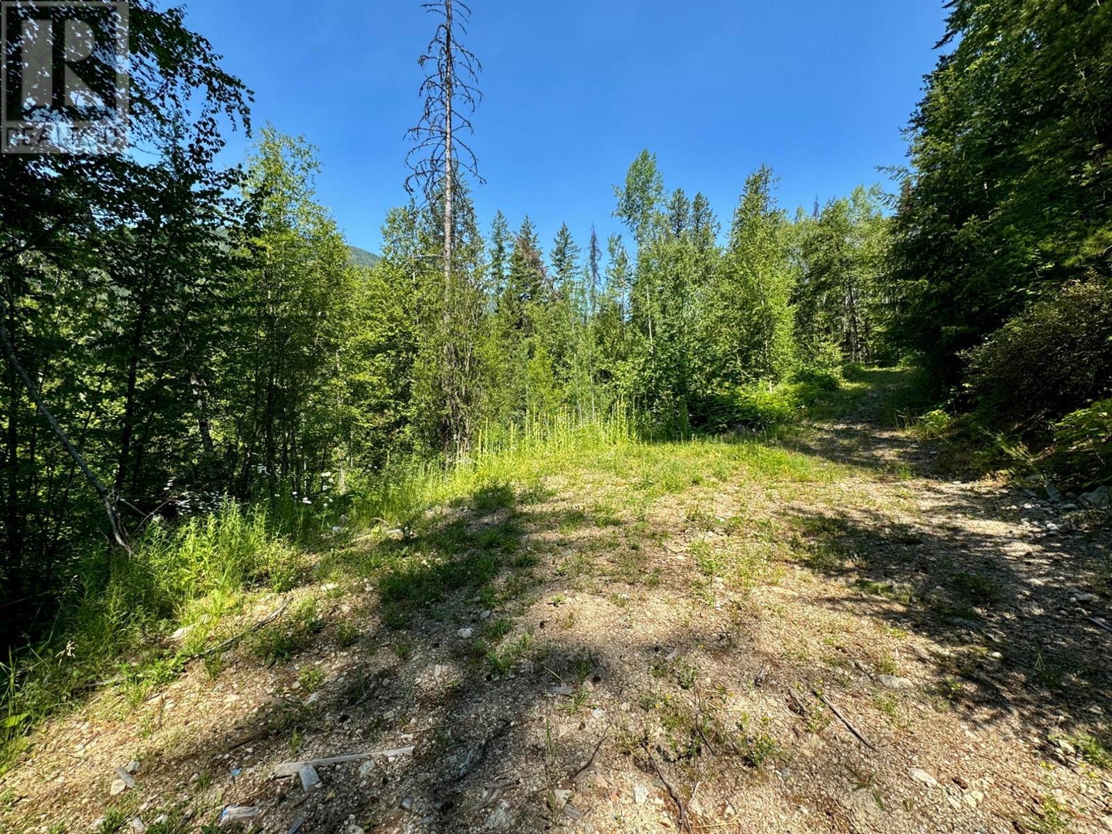 395 Boven Road, Nelson, British Columbia  V1L 6J1 - Photo 50 - 10347110