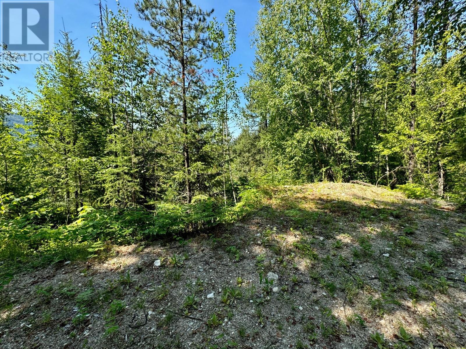 395 Boven Road, Nelson, British Columbia  V1L 6J1 - Photo 51 - 10347110