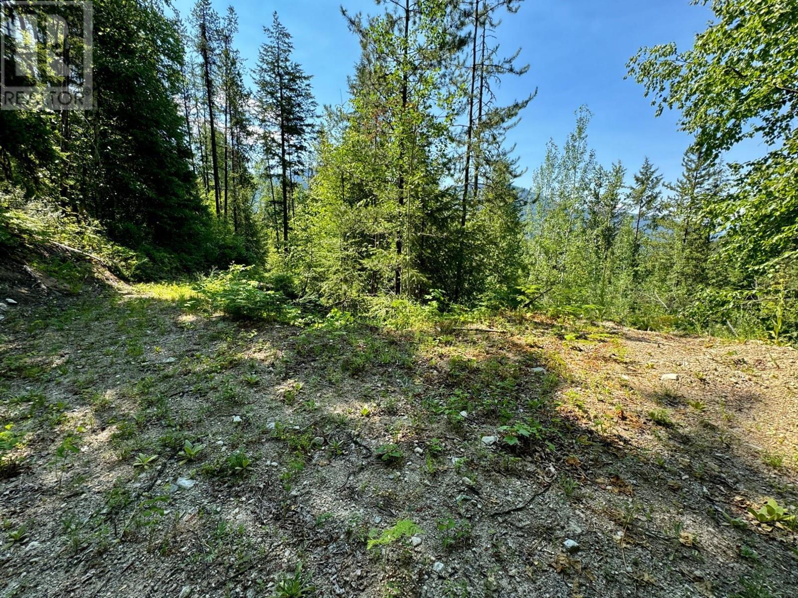 395 Boven Road, Nelson, British Columbia  V1L 6J1 - Photo 52 - 10347110