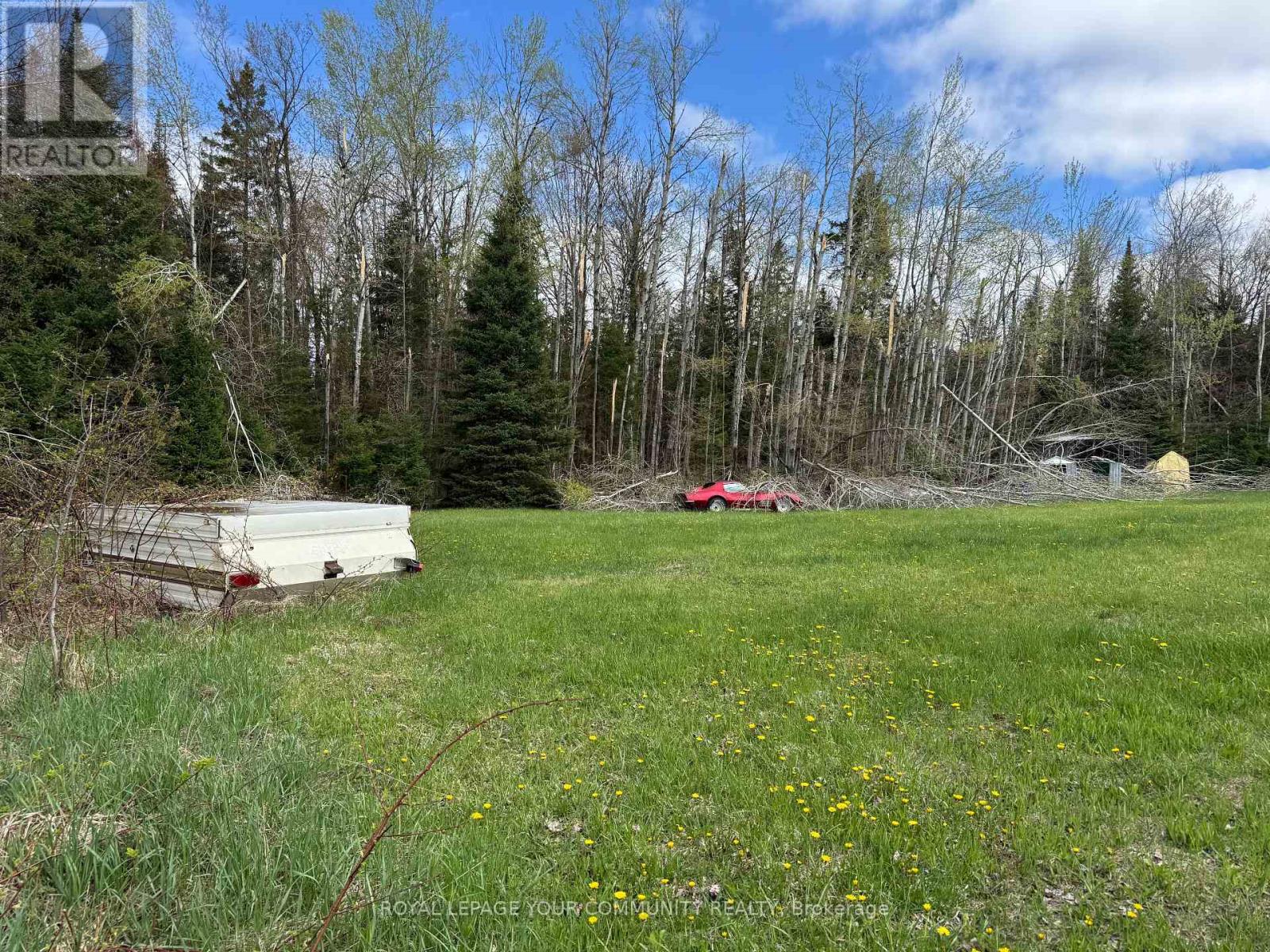 829 Prospect Street, Kawartha Lakes, Ontario  K0M 2T0 - Photo 5 - X12136435