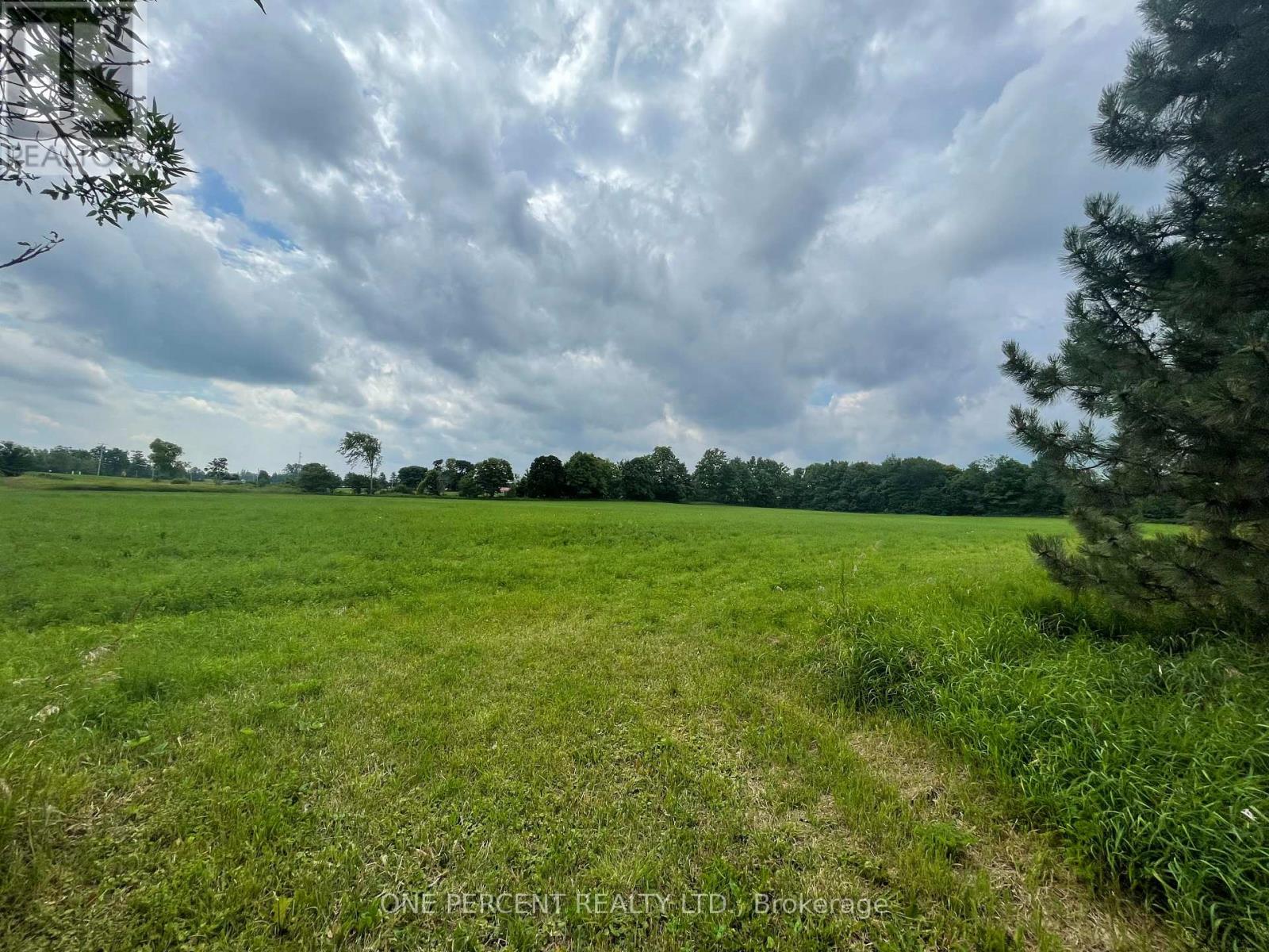 196690 Grey Road 7 Road, Grey Highlands, Ontario  N4L 1W7 - Photo 31 - X12136463