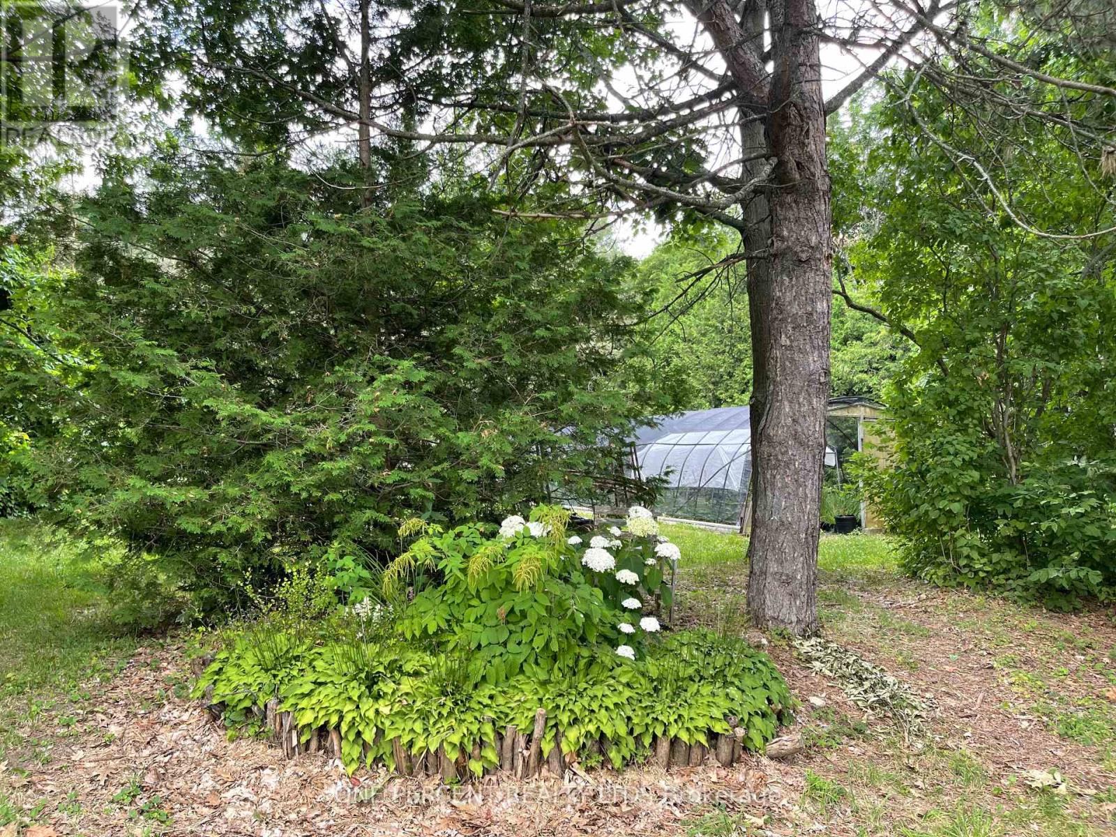 196690 Grey Road 7 Road, Grey Highlands, Ontario  N4L 1W7 - Photo 35 - X12136463