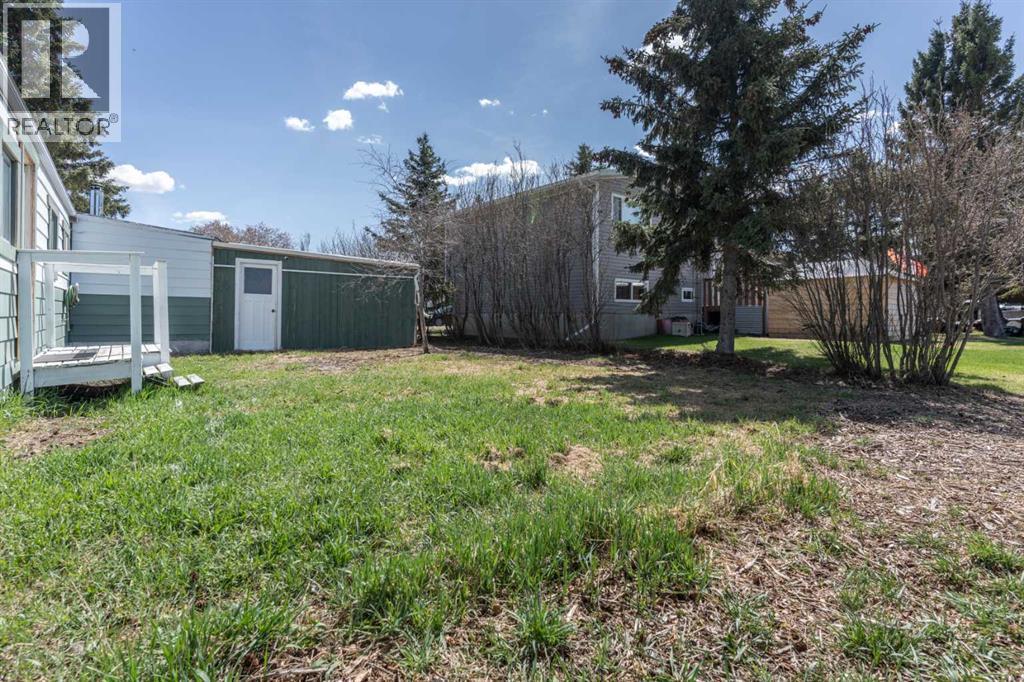 315 & 317 Macrae Street, Bawlf, Alberta  T0B 0J0 - Photo 23 - A2215882