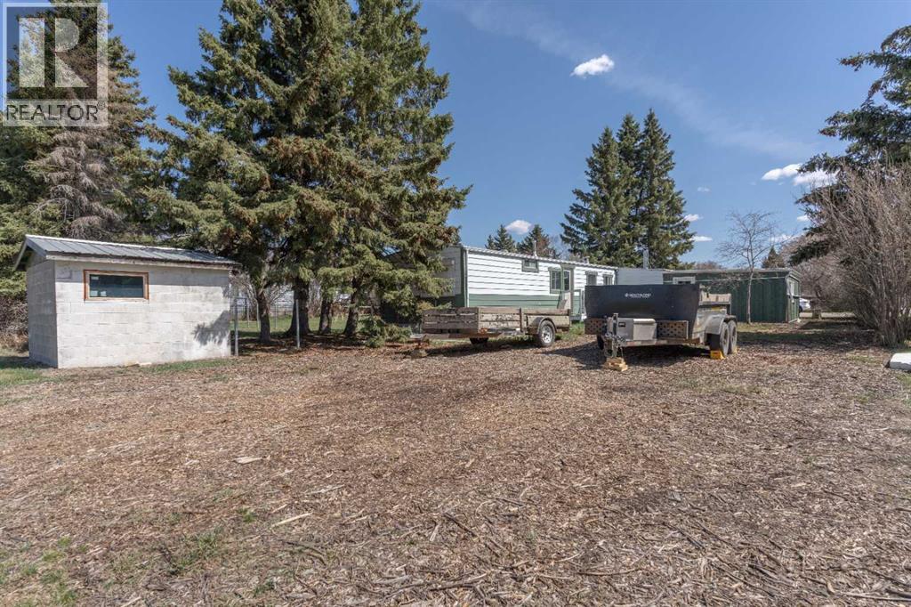 315 & 317 Macrae Street, Bawlf, Alberta  T0B 0J0 - Photo 24 - A2215882