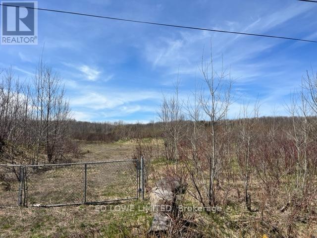 2514 West Service Road, Tay, Ontario  L0K 2C0 - Photo 2 - S12136792