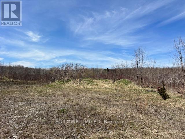 2514 West Service Road, Tay, Ontario  L0K 2C0 - Photo 3 - S12136792