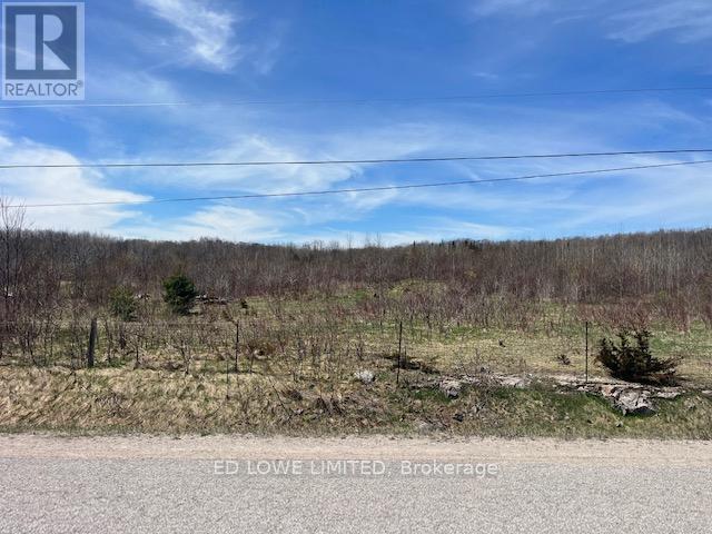 2514 West Service Road, Tay, Ontario  L0K 2C0 - Photo 5 - S12136792