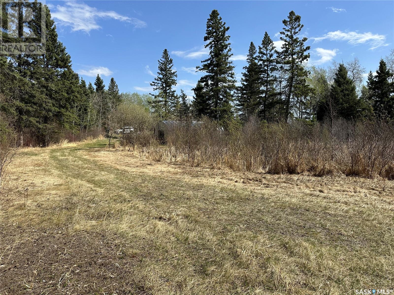 Lakefront Lot 8 - Lake Nebo, Canwood Rm No. 494, Saskatchewan  S0J 0K0 - Photo 24 - SK002539