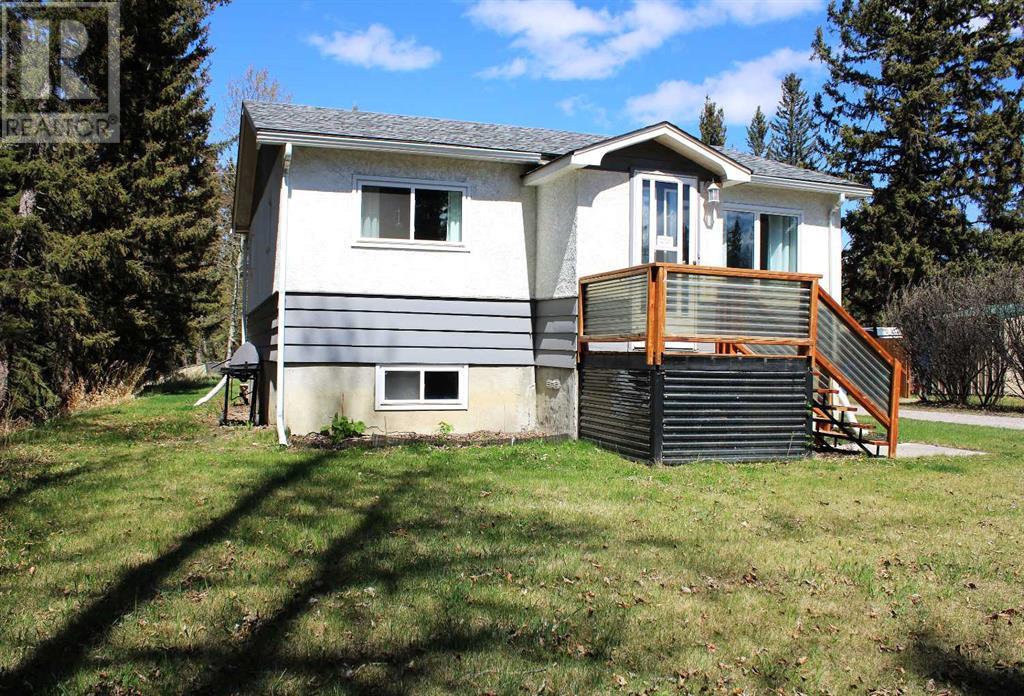 920 Main Avenue E, Sundre, Alberta  T0M 1X0 - Photo 38 - A2202563