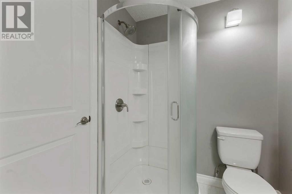 1329 Prairie Springs Park Sw, Airdrie, Alberta  T4B 0E8 - Photo 36 - A2218825