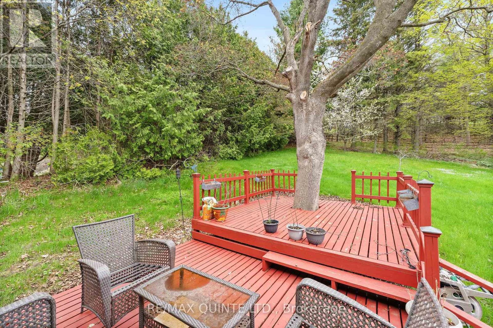 35 George Street, Brighton, Ontario  K0K 1H0 - Photo 43 - X12137194