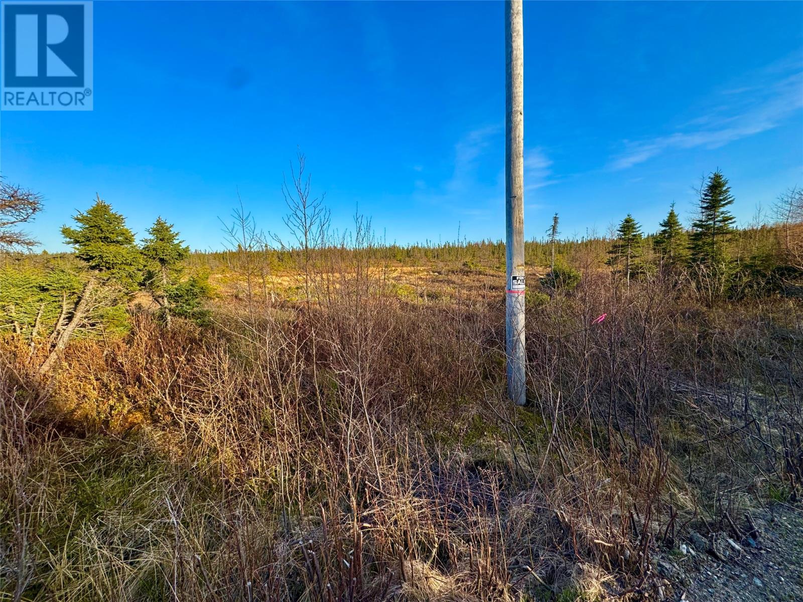 162-182 Riverside Road East, Glovertown, Newfoundland & Labrador  A0G 0A8 - Photo 10 - 1284703