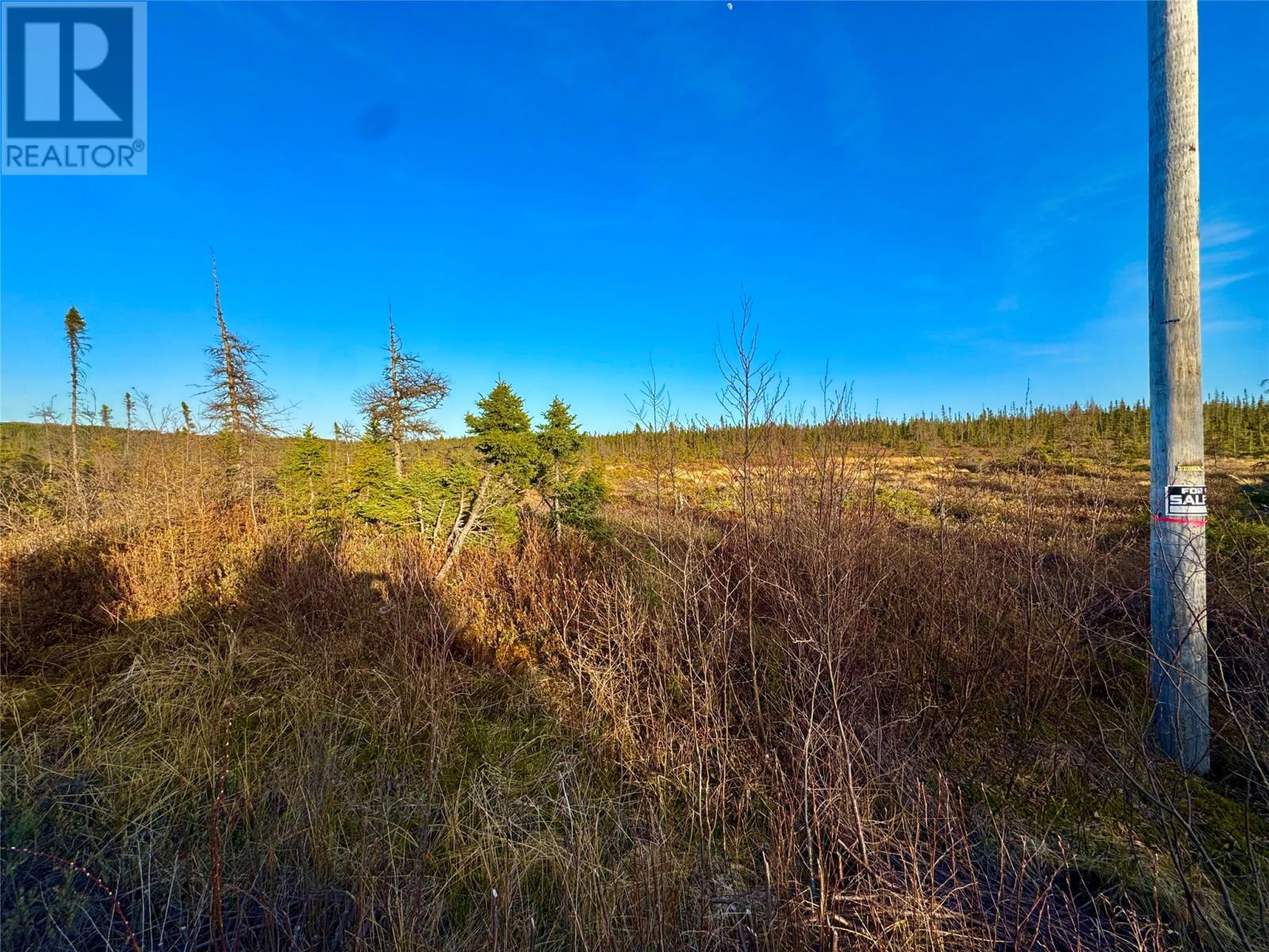 162-182 Riverside Road East, Glovertown, Newfoundland & Labrador  A0G 0A8 - Photo 7 - 1284703