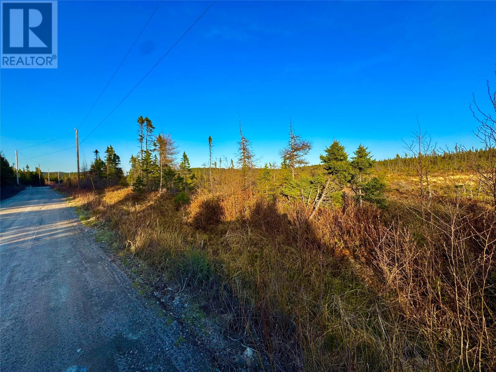 162-182 Riverside Road East, Glovertown, Newfoundland & Labrador  A0G 0A8 - Photo 8 - 1284703