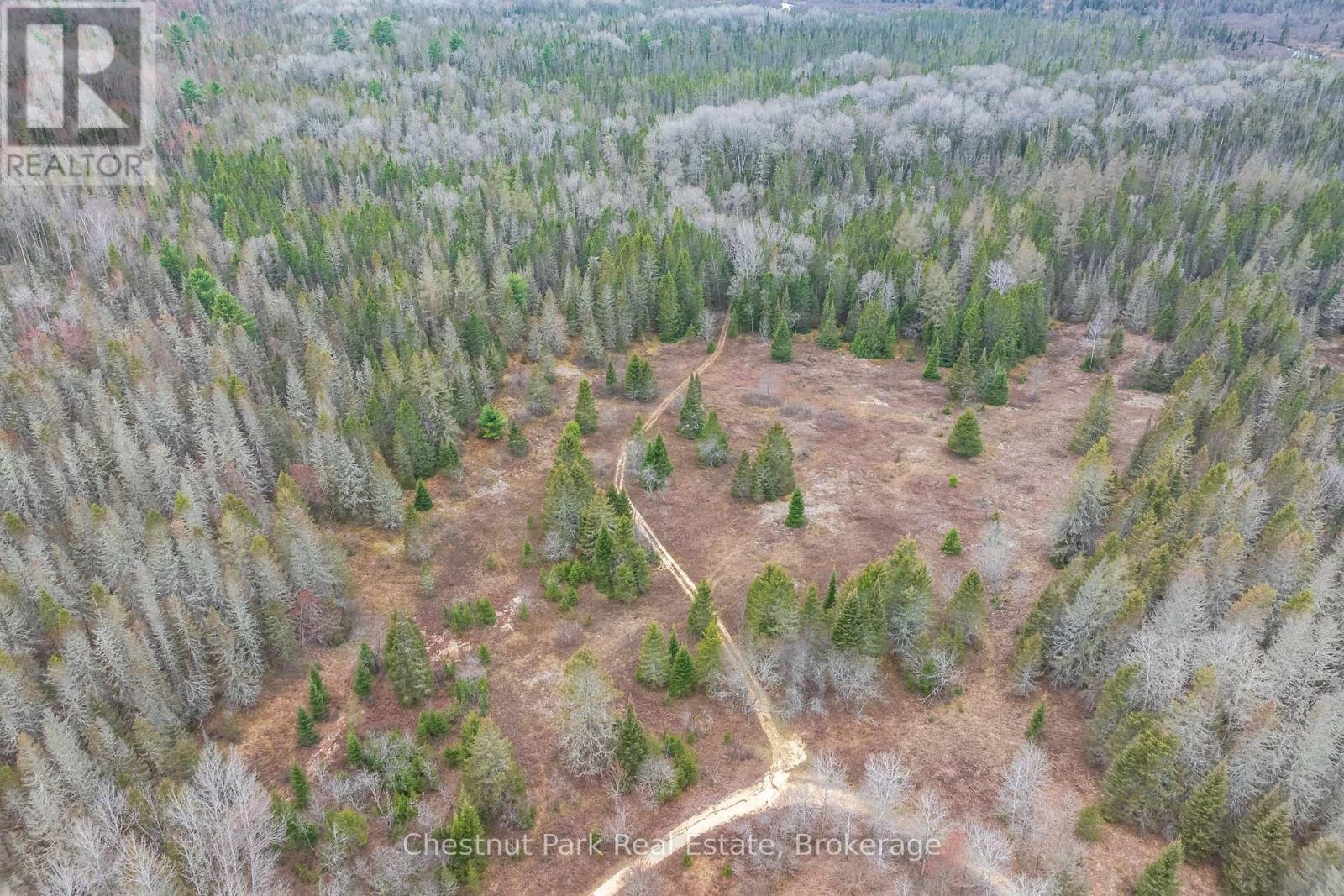 316 Goreville Road, Machar, Ontario  P0A 1X0 - Photo 44 - X12137287