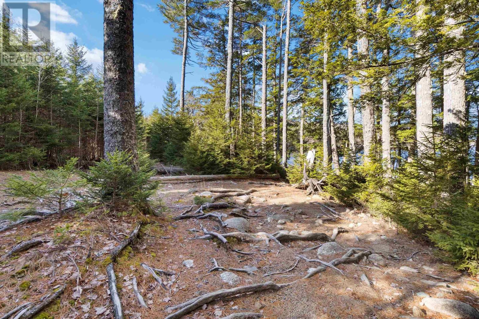 Unit 31 Sweetland Road, Sweetland, Nova Scotia  B0J 1E0 - Photo 10 - 202507616