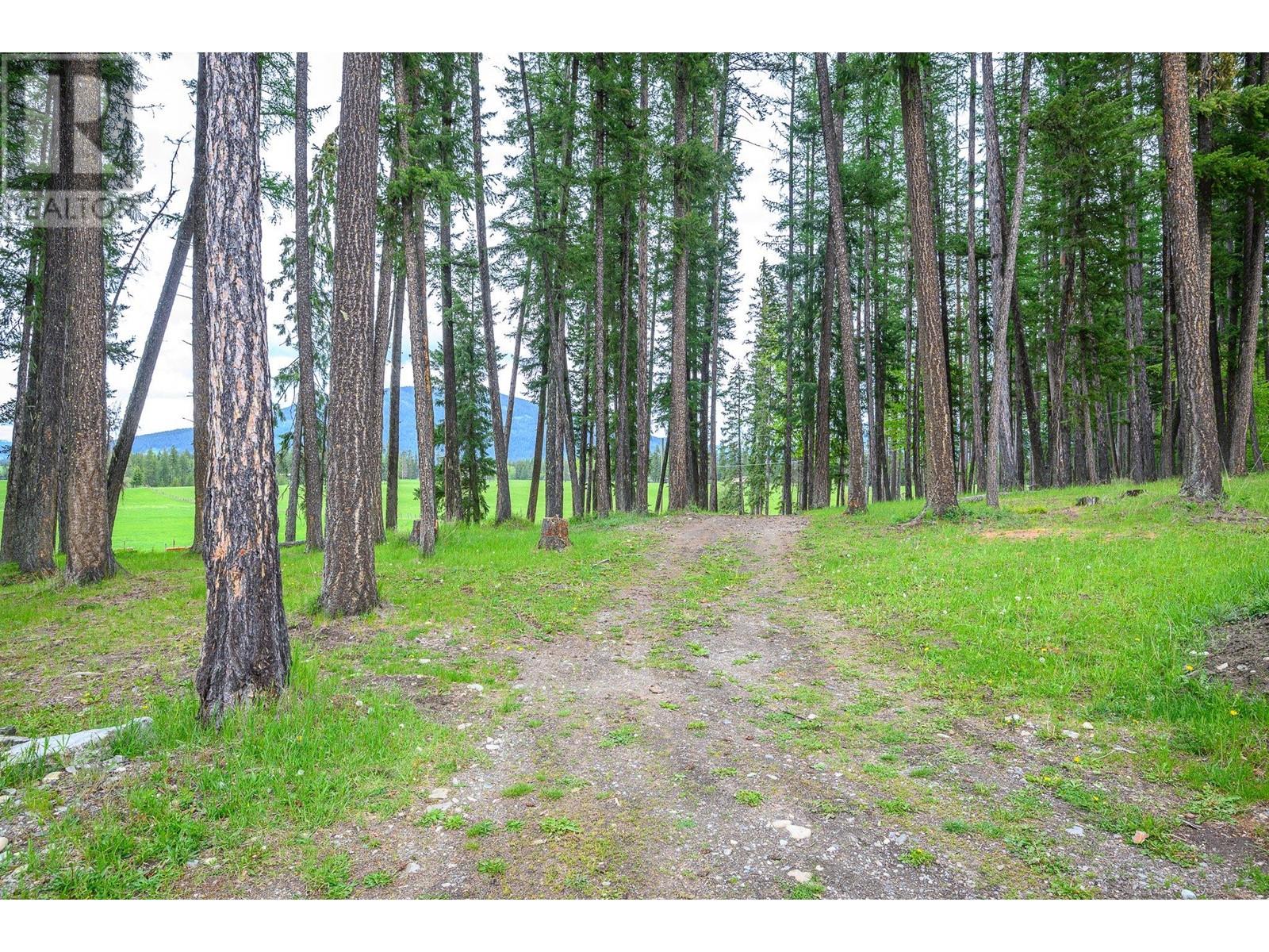 4 Hollingsworth Road, Cherryville, British Columbia  V0E 2G3 - Photo 46 - 10347182