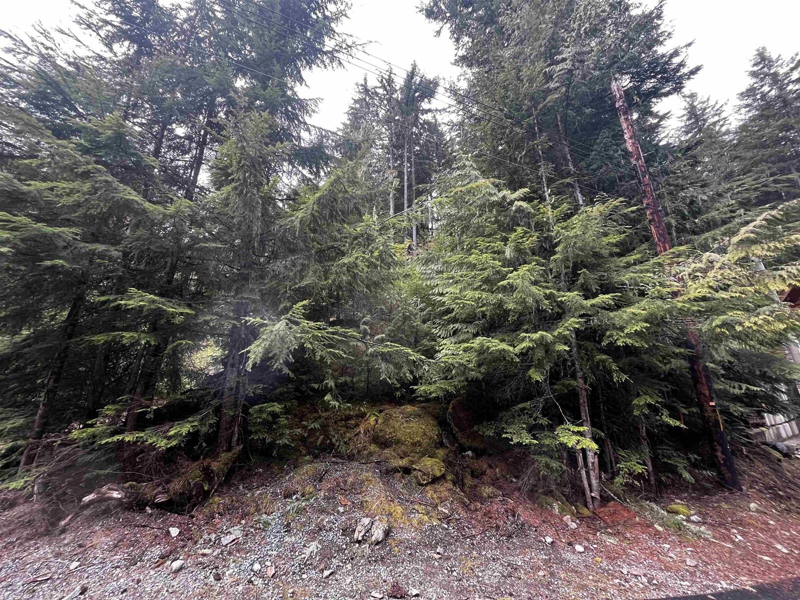 14963 Parkwood Street, Sunshine Valley, Sunshine Valley, British Columbia  V0X 1L5 - Photo 5 - R3000327