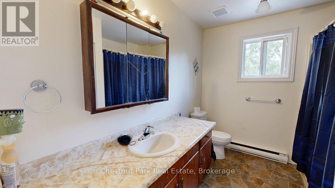 163 Wellington Street, Bracebridge, Ontario  P1L 1C2 - Photo 20 - X12137511