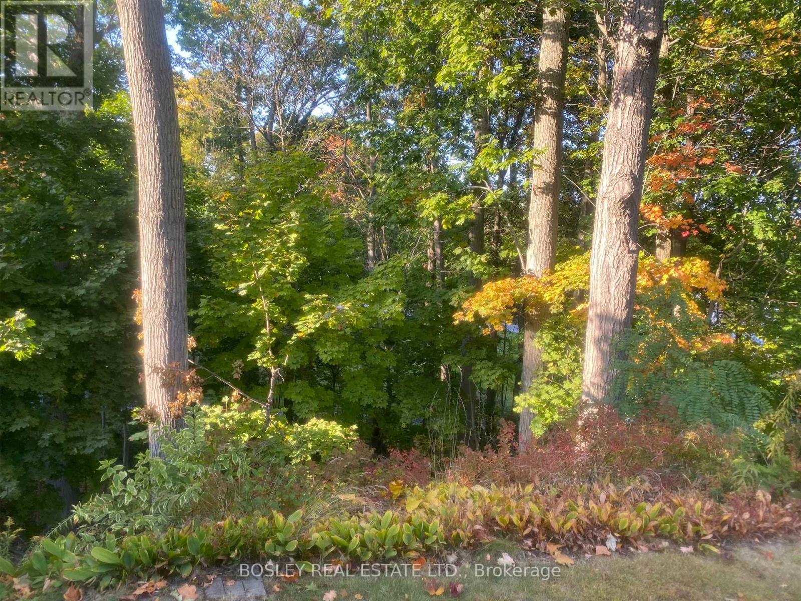28 Sherbourne Street, Port Hope, Ontario  L1A 1H2 - Photo 2 - X12137498