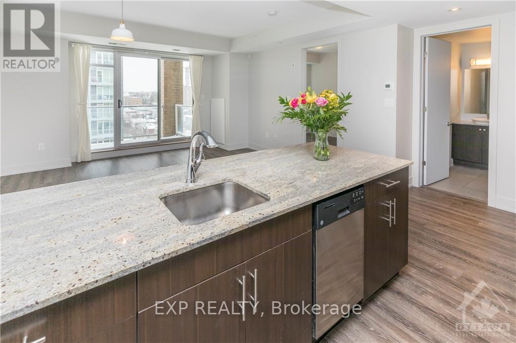 905 - 100 Champagne Avenue S, Ottawa, Ontario  K1S 4P4 - Photo 10 - X12137381