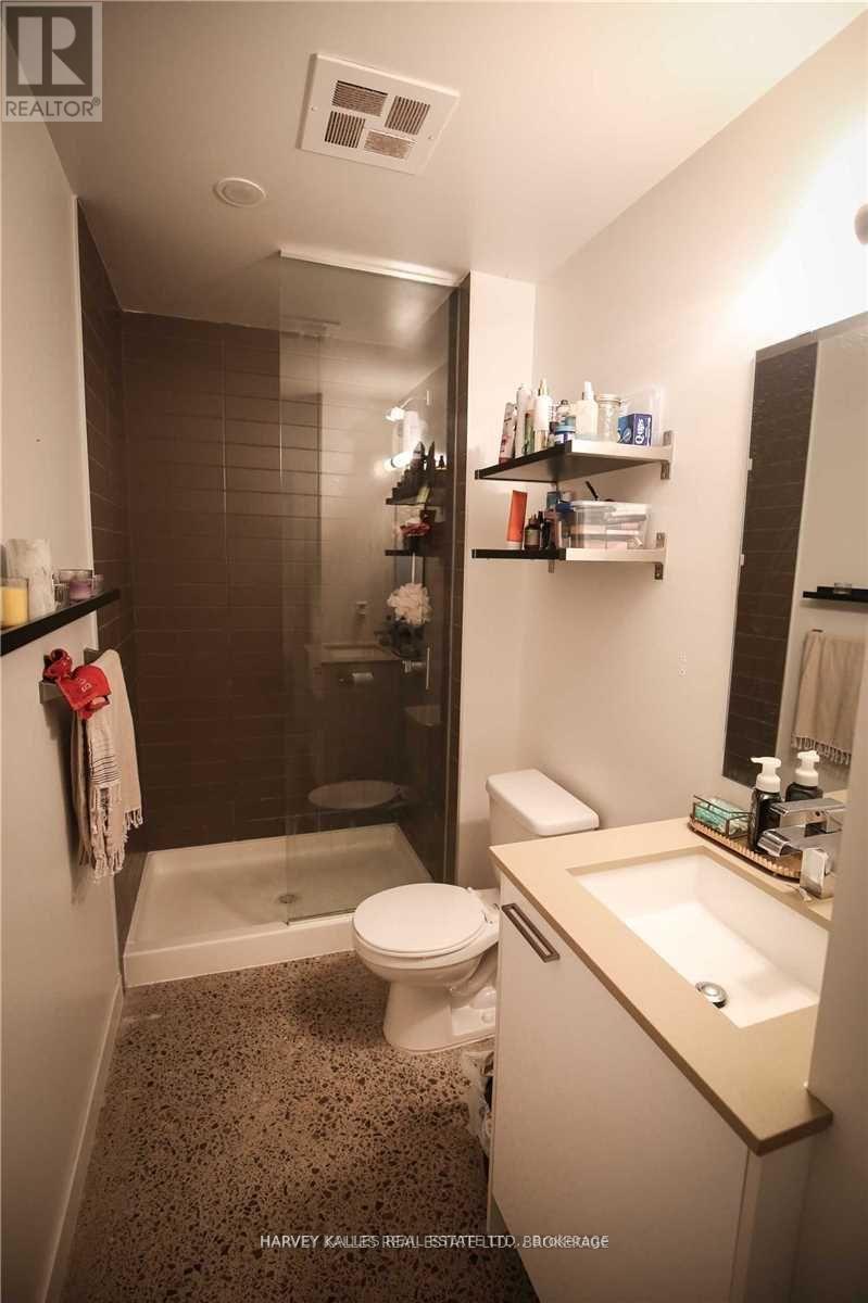 213 - 510 King Street E, Toronto, Ontario  M5A 1M1 - Photo 9 - C12137057