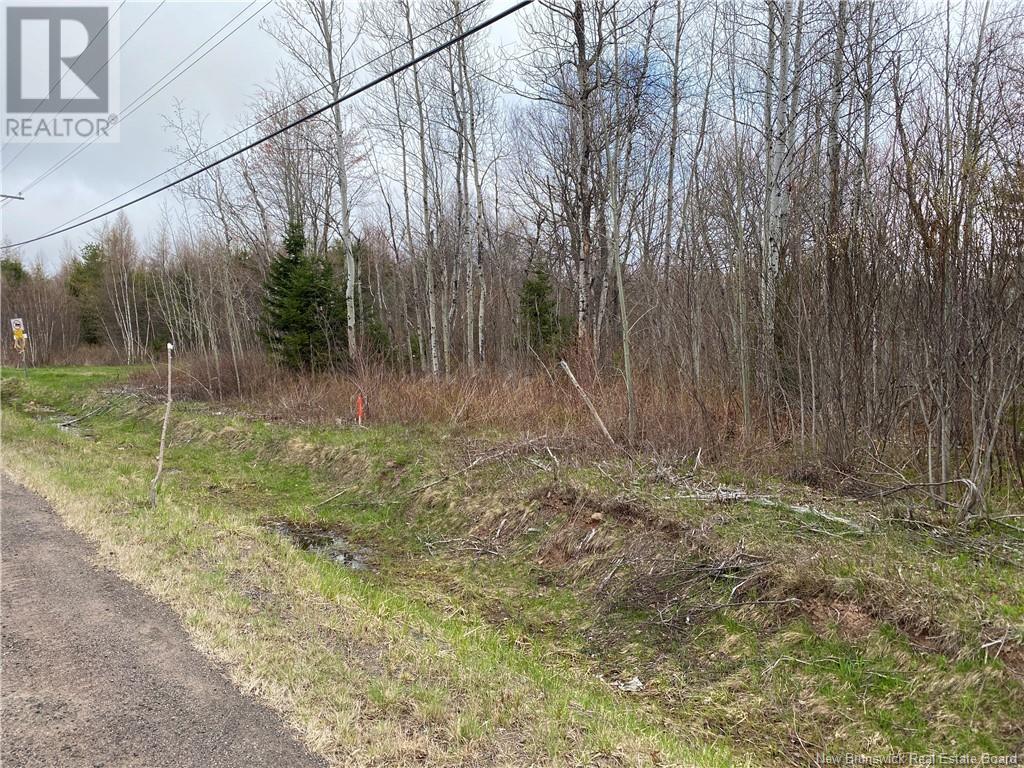 Lot Route 134, Saint-Pierre-De-Kent, New Brunswick  E4S 1E3 - Photo 4 - NB118161