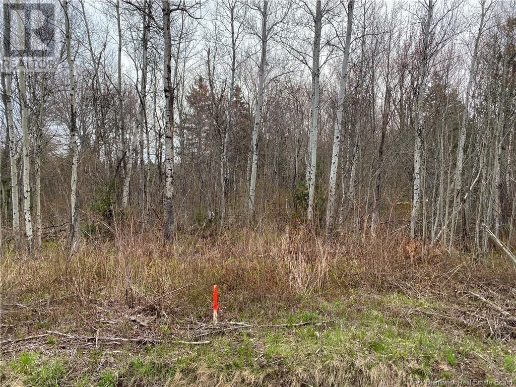 Lot Route 134, Saint-Pierre-De-Kent, New Brunswick  E4S 1E3 - Photo 7 - NB118161
